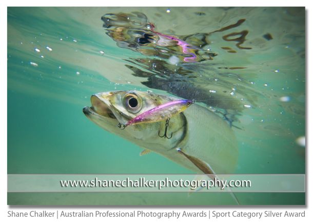 Fishing photographer chalks up another award
